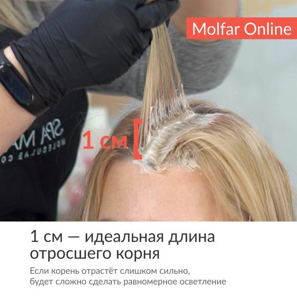 Идеальный блонд от Spa Master. Выбранные моменты из вебинара Алёны Адыгезаловой